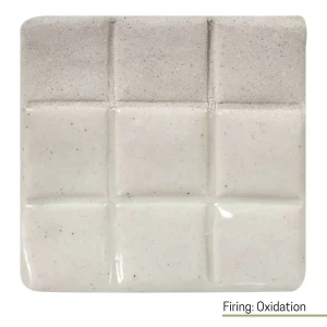 Blackwattle Fine White Stoneware Clay BWCFWS